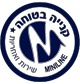 מיניליין-סמליין